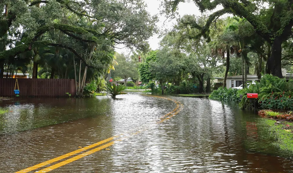 flood insurance